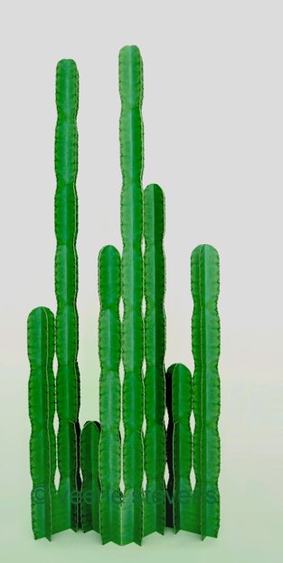 Cactus bouwpakket, kit, Veerle Stevens