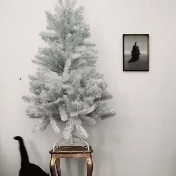 Studioview: tree, painting, cat